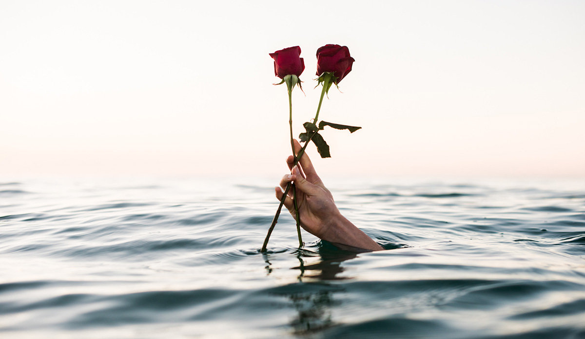 rose