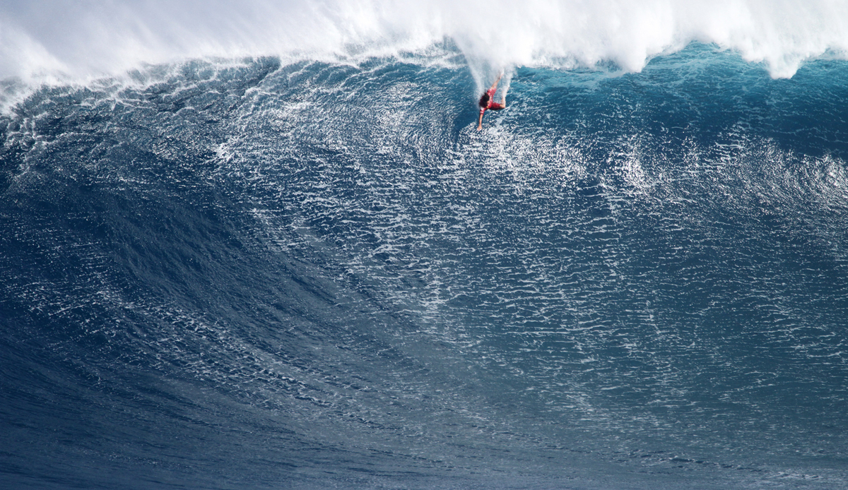 landon-mcnamara-bail-jaws-2_11_16