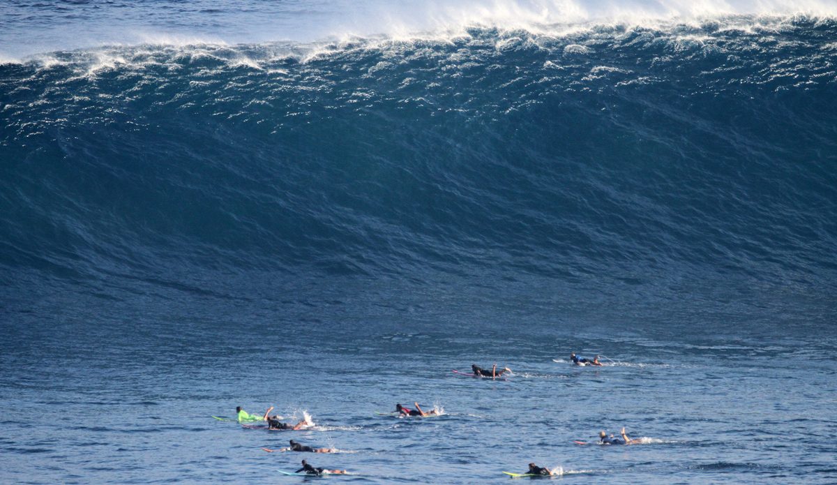 outside-clean-up-jaws-2_11_16-lynton