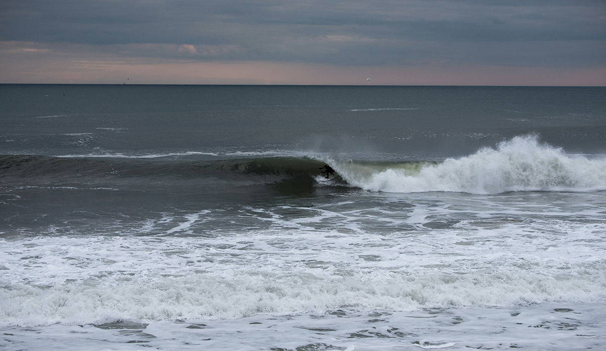 dsc_6711