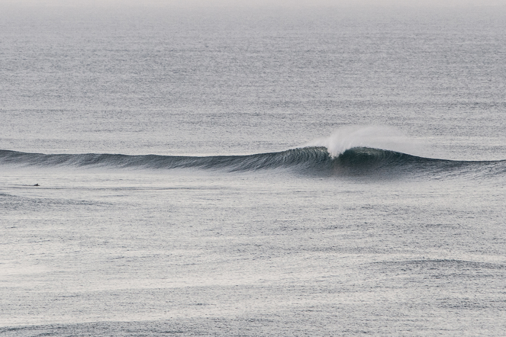 california_steele-5009