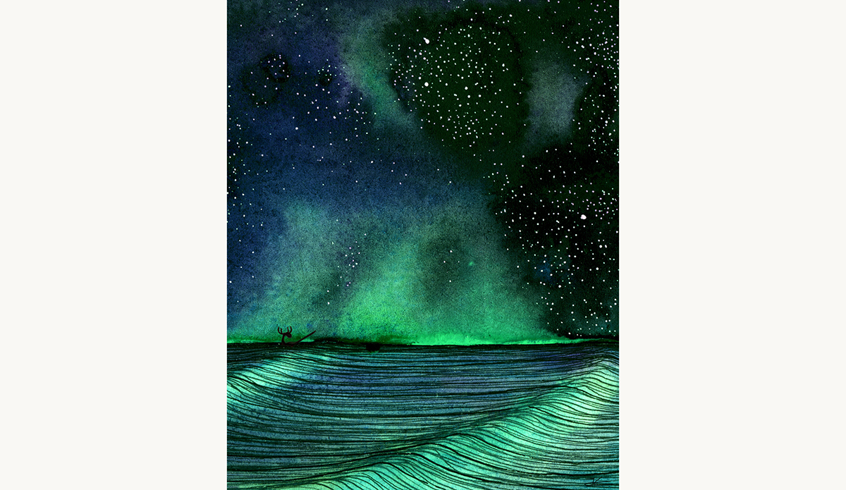 night-show