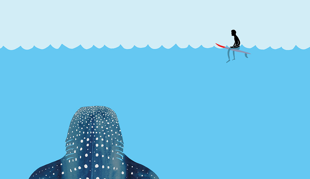 whale-shark