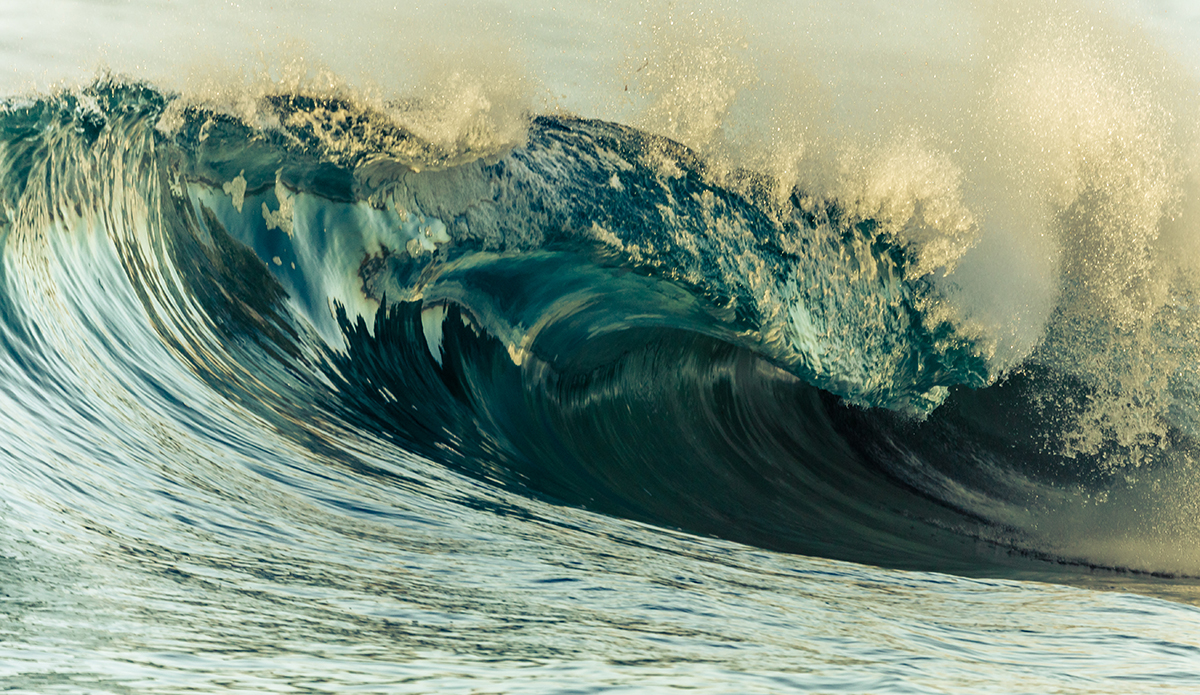 inertia-joniemillhouse-wedge-9-24-16-4508