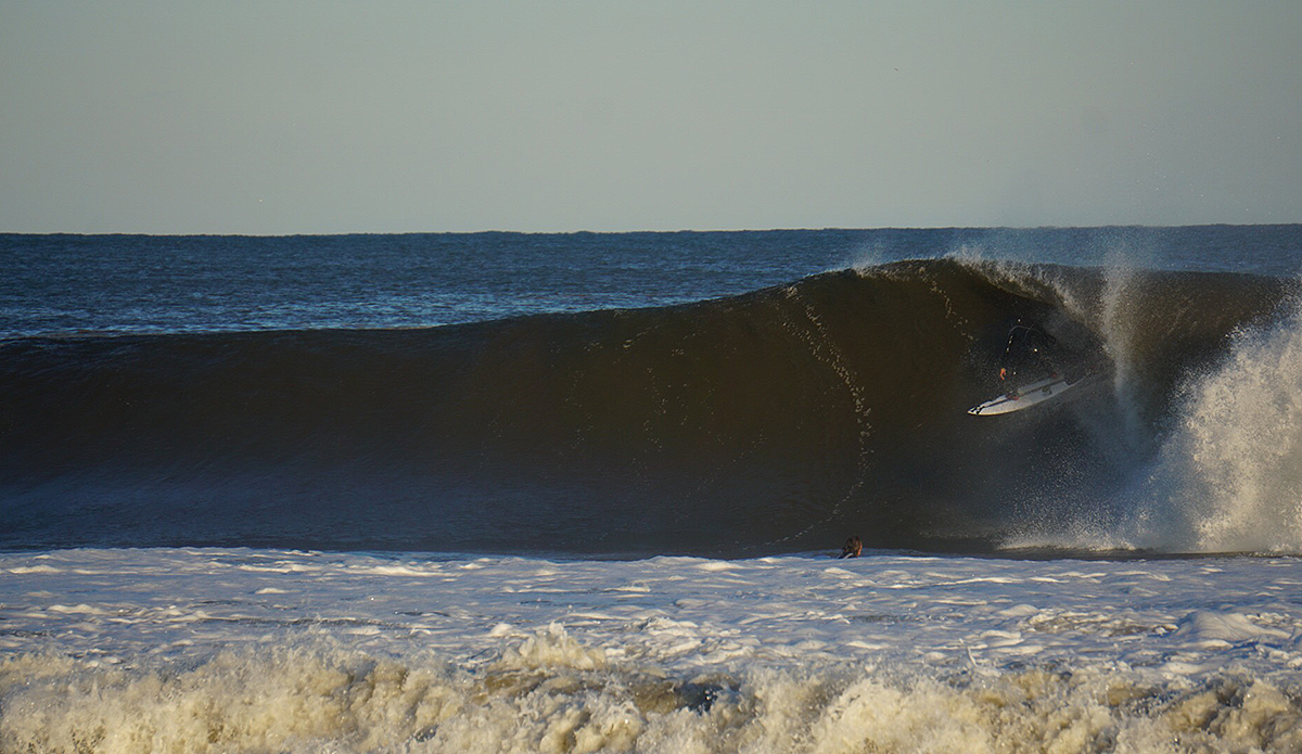 lrg_dsc03888