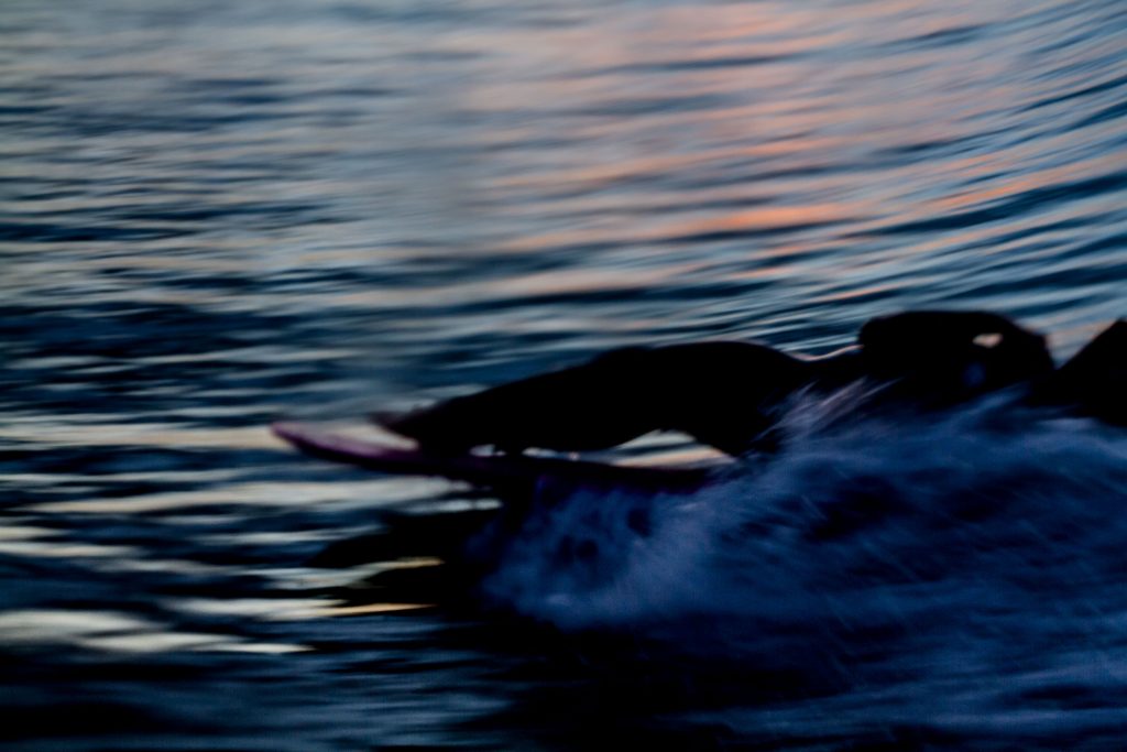 kirra-arvy-session-27-1024x683