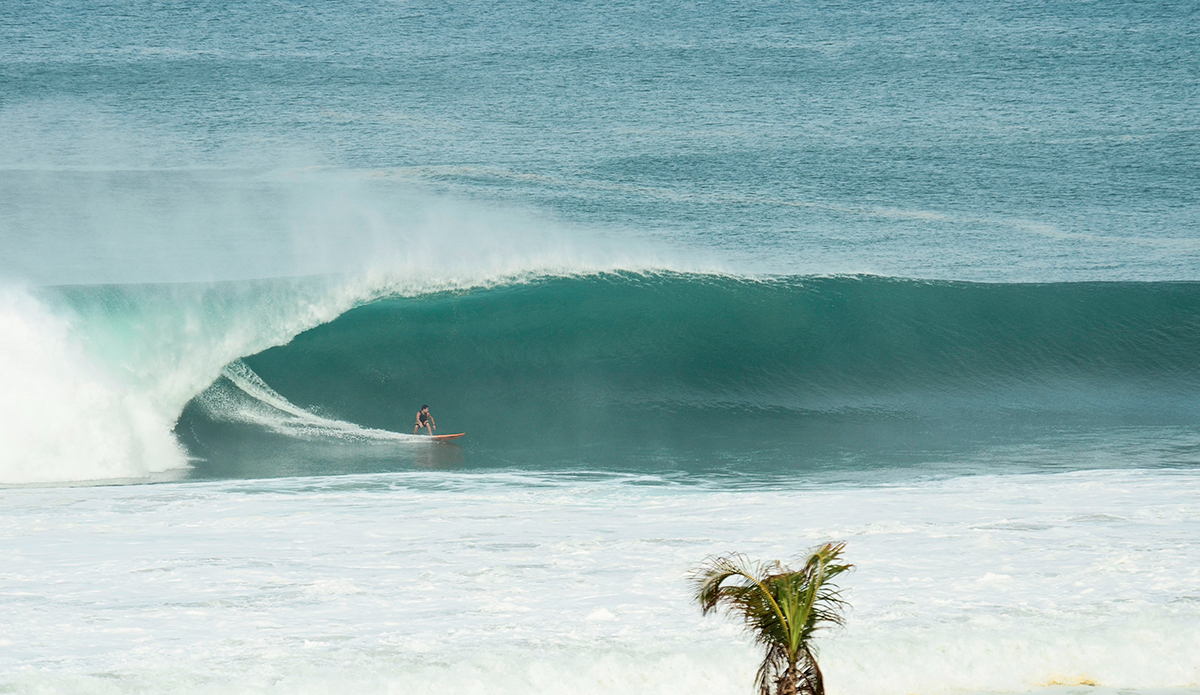 peak_of_the_swell_10