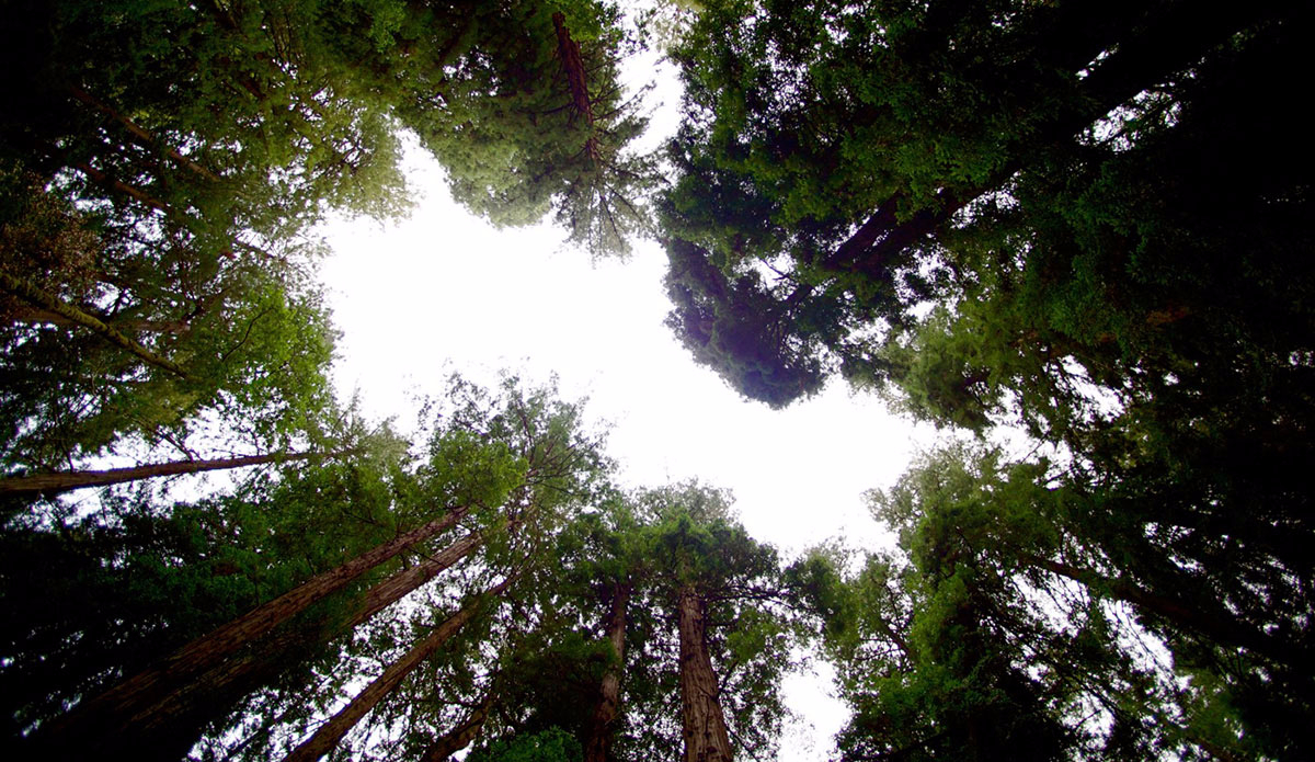 heretohere-morgan-maassen-05