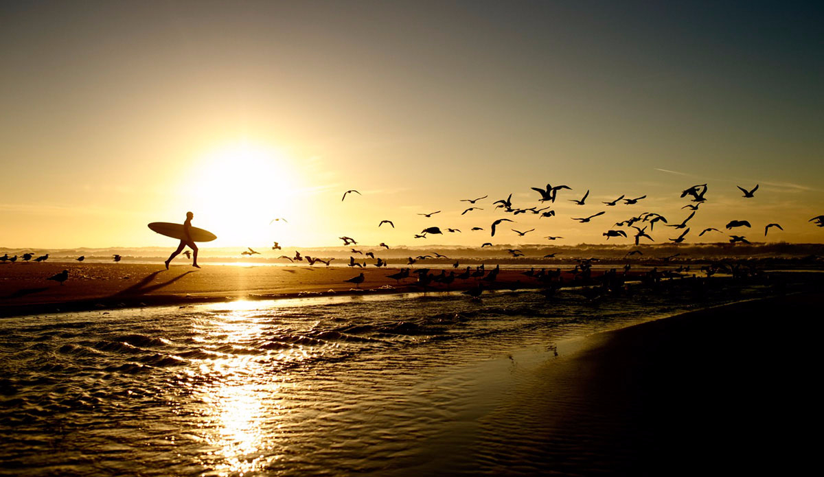 heretohere-morgan-maassen-39
