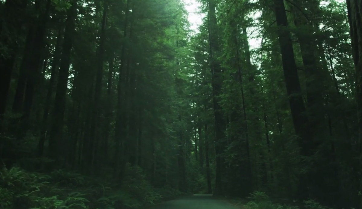 screen-shot-2015-07-21-at-5-08-20-pm