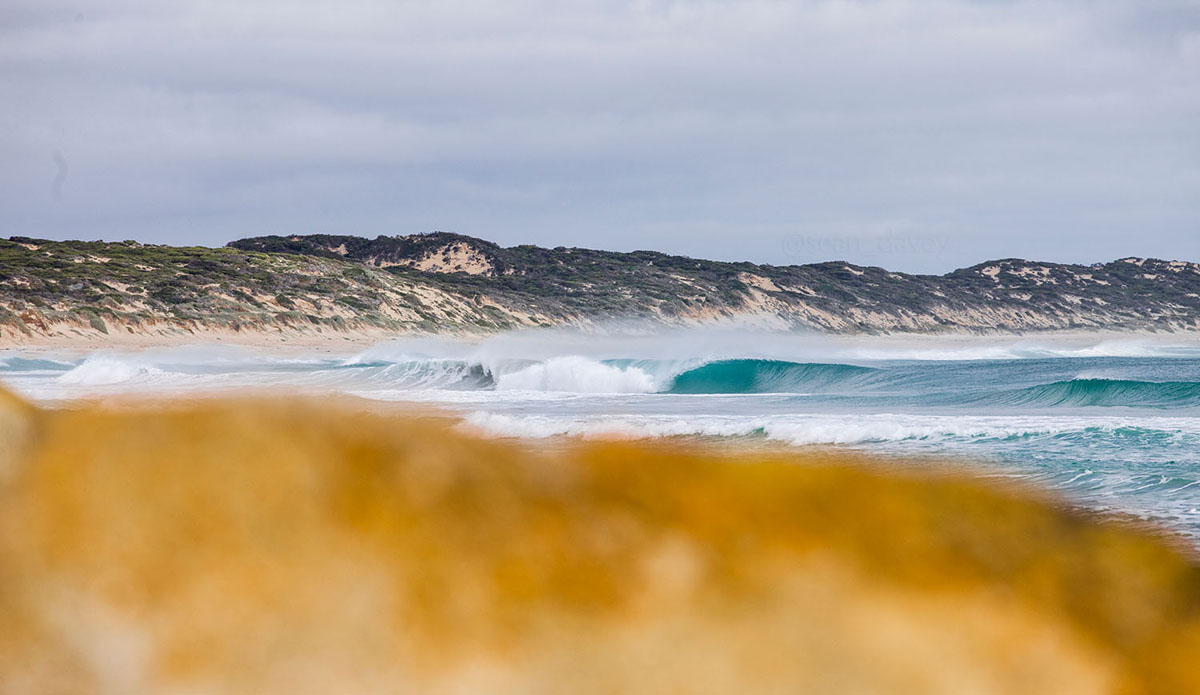 surf lineup at Phoques beach, King Island, Tasmania