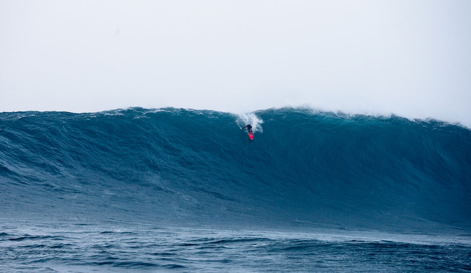go-big-shanedorian-jaws-fpomper417