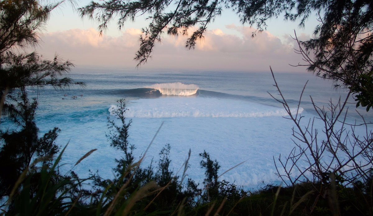 jaws-lineup-by-erik-aeder
