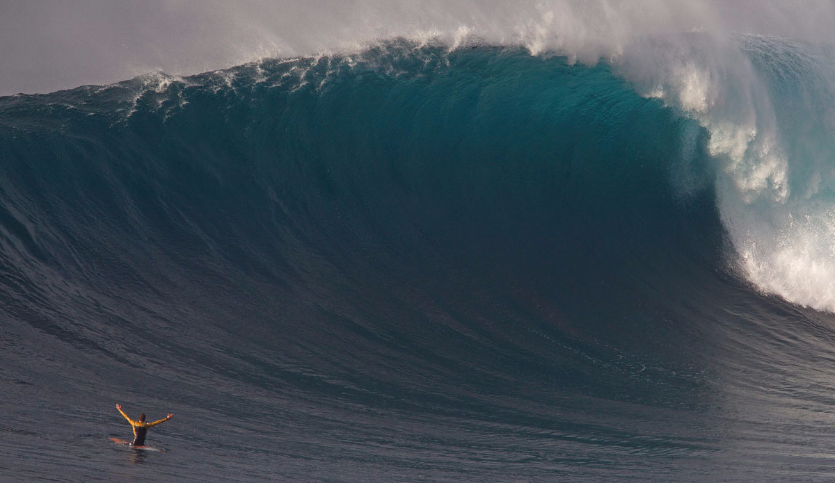 jaws_albee_emptywave-tracyleboe__kiv7695