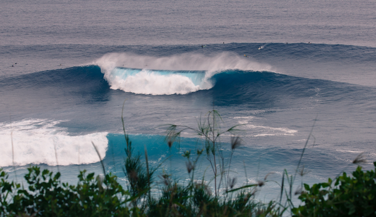 spot-check-honolua-6-of-15