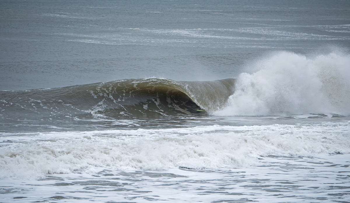 dsc_0775
