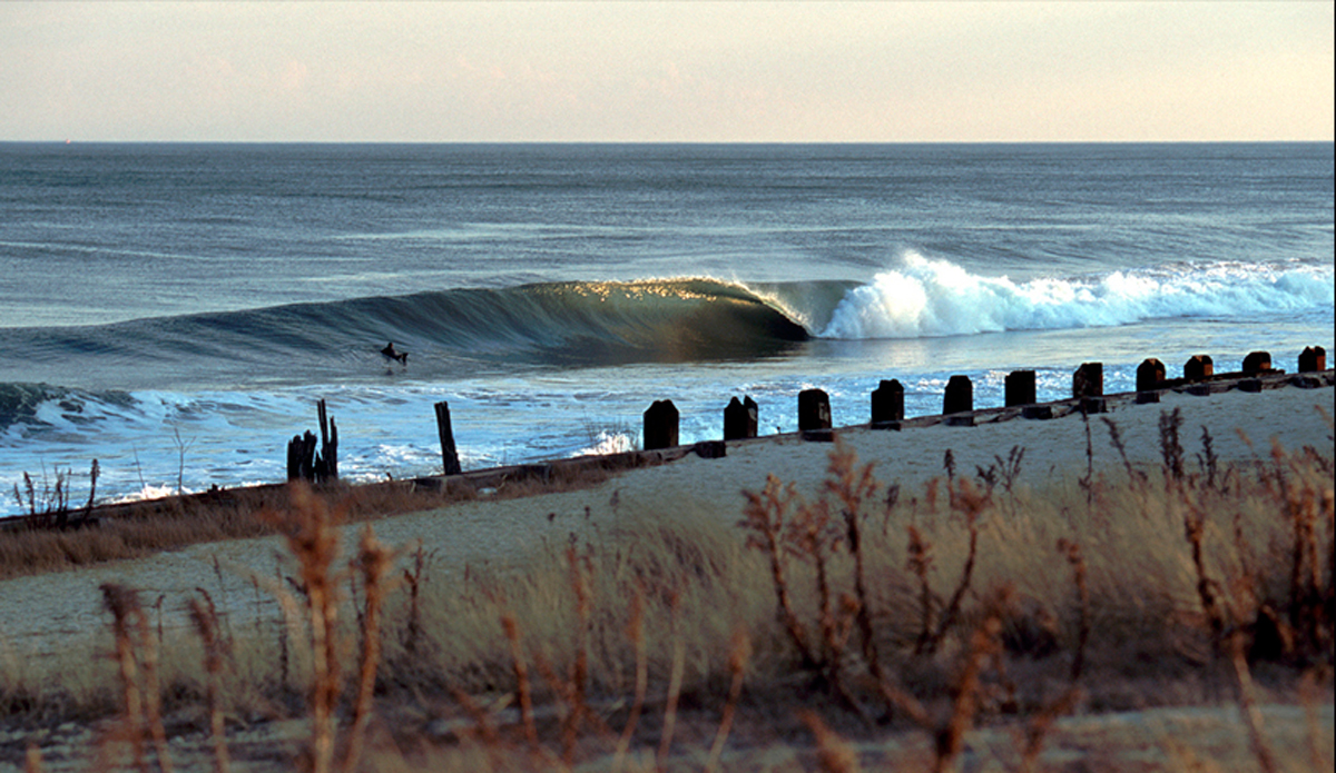 fitzpatrick_image_001