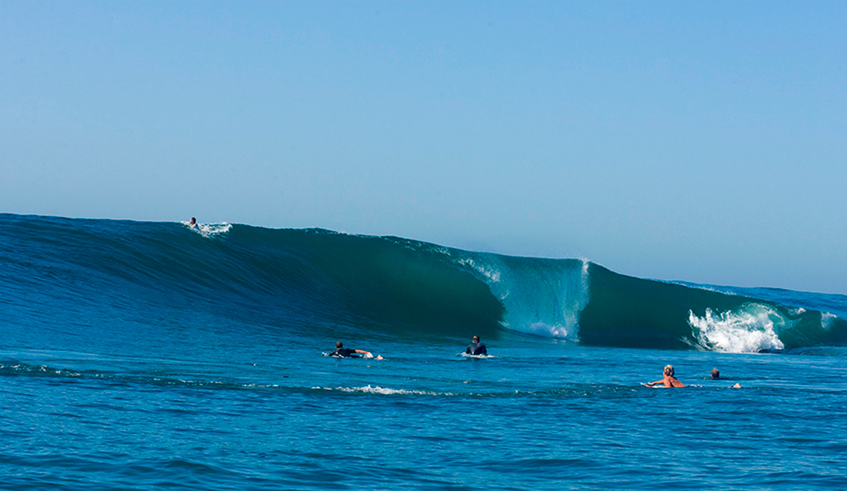 i-forget-where-this-is-in-australia-but-i-got-that-sharky-feeling-the-whole-time-i-was-swimming-around-out-there