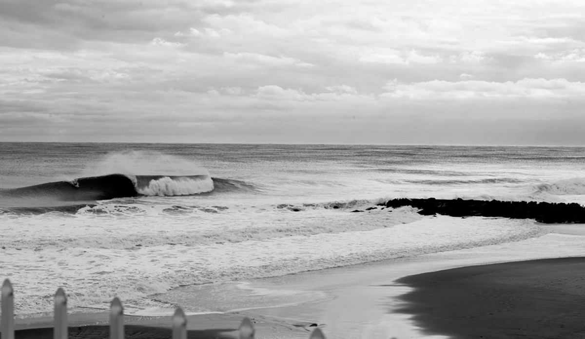 long-branch_go7v0047