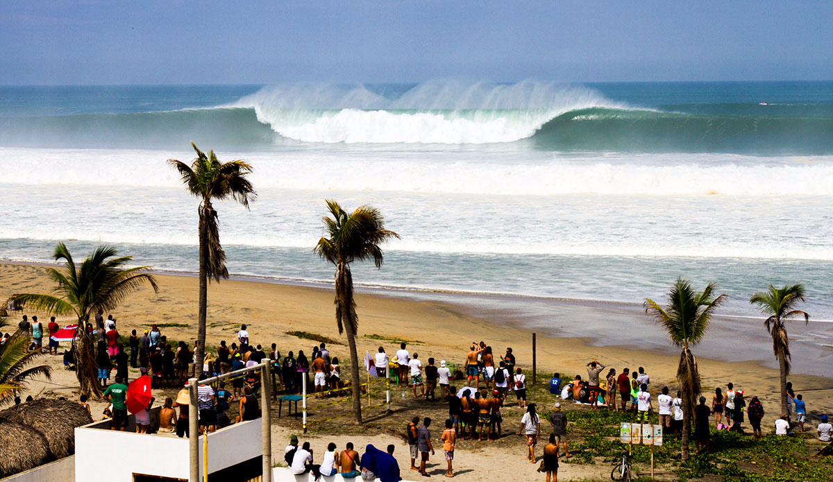 lineup