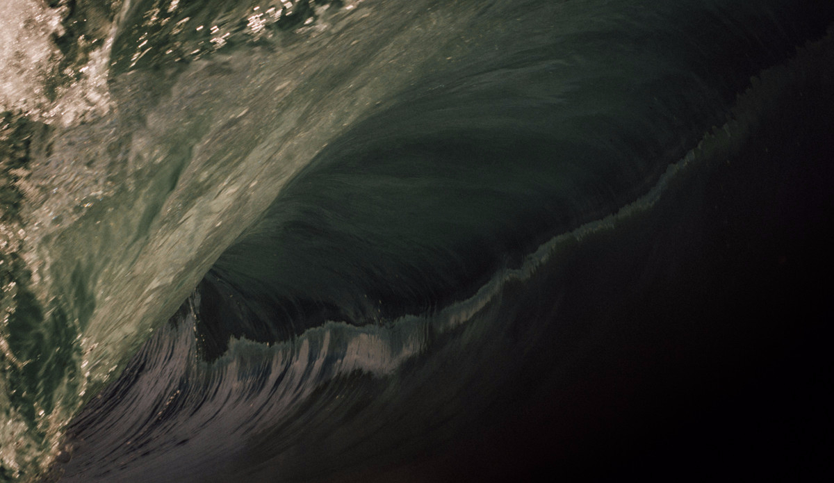 adrian-emerton_black-greens