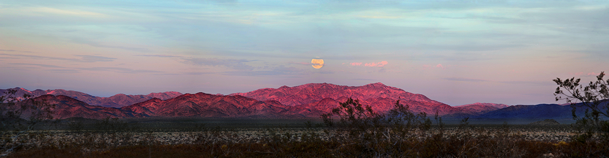 web_blue_moon_80x20-5_panorama1_0