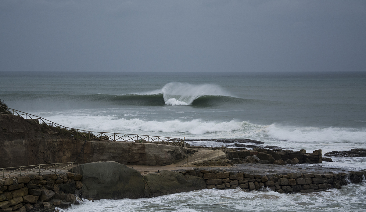 dsc_0548