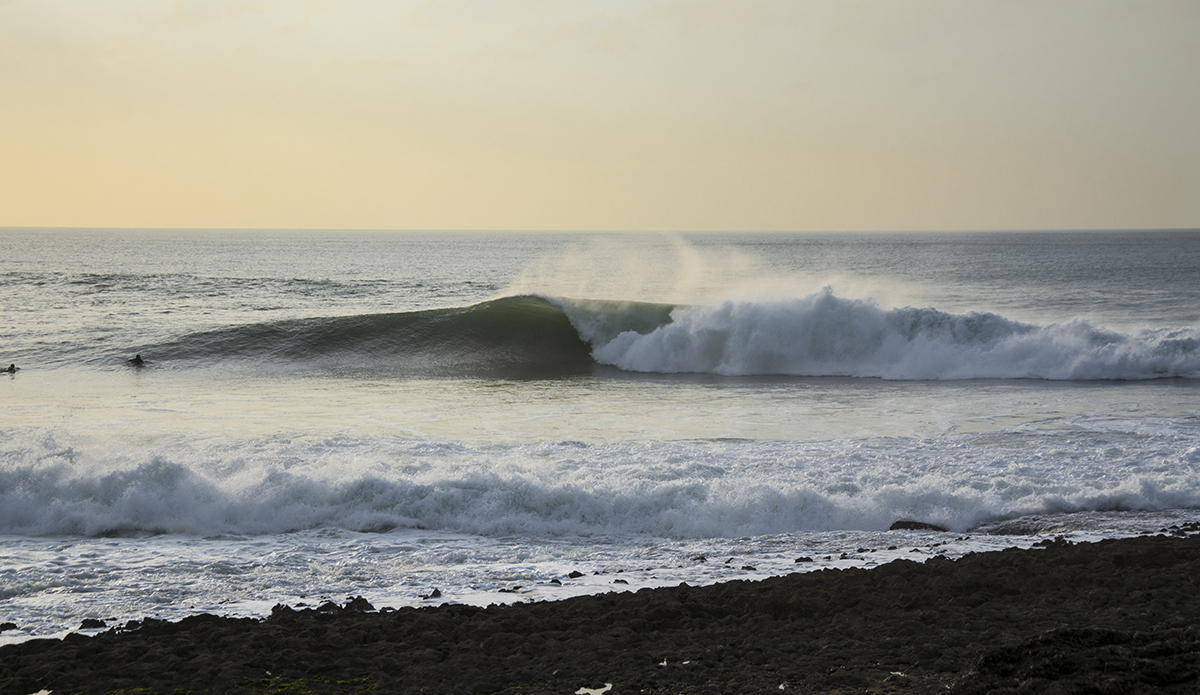 dsc_8281
