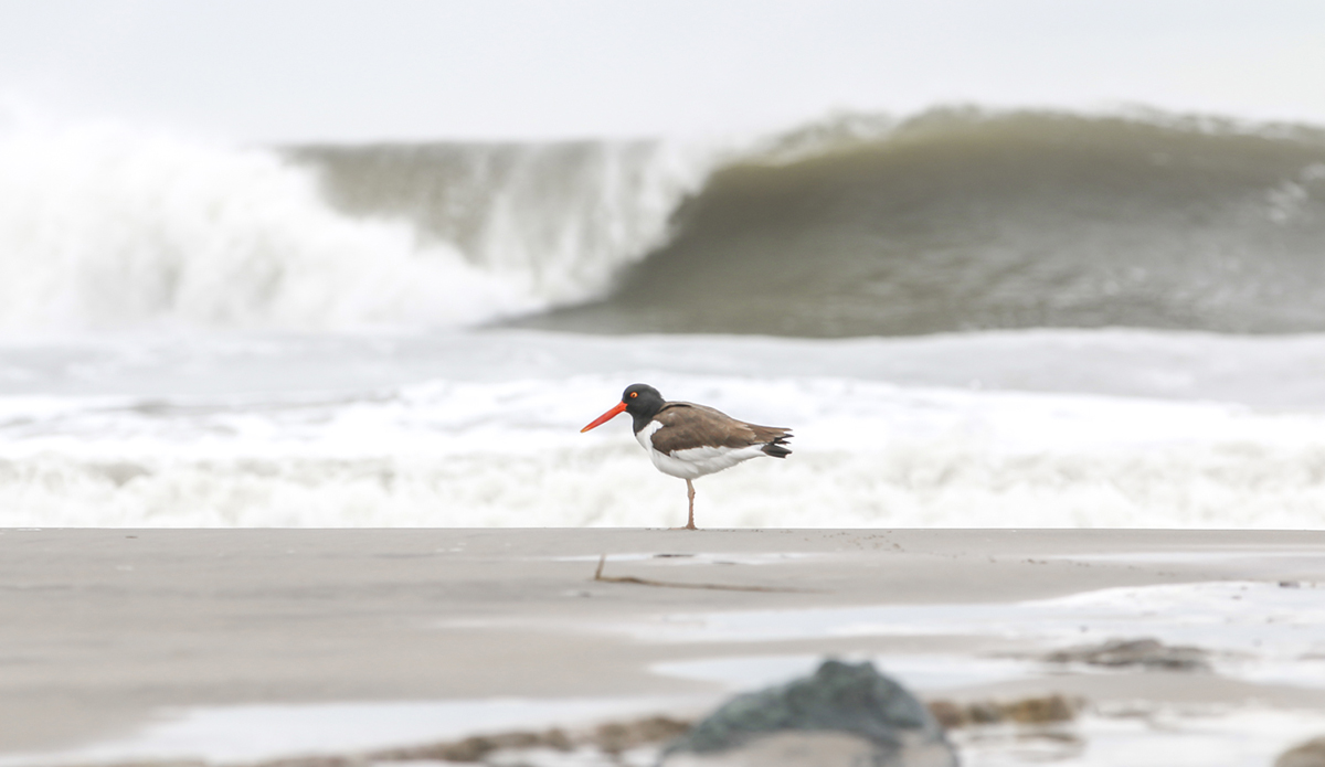 johnsuhar_rockawaybeach_20170401-96