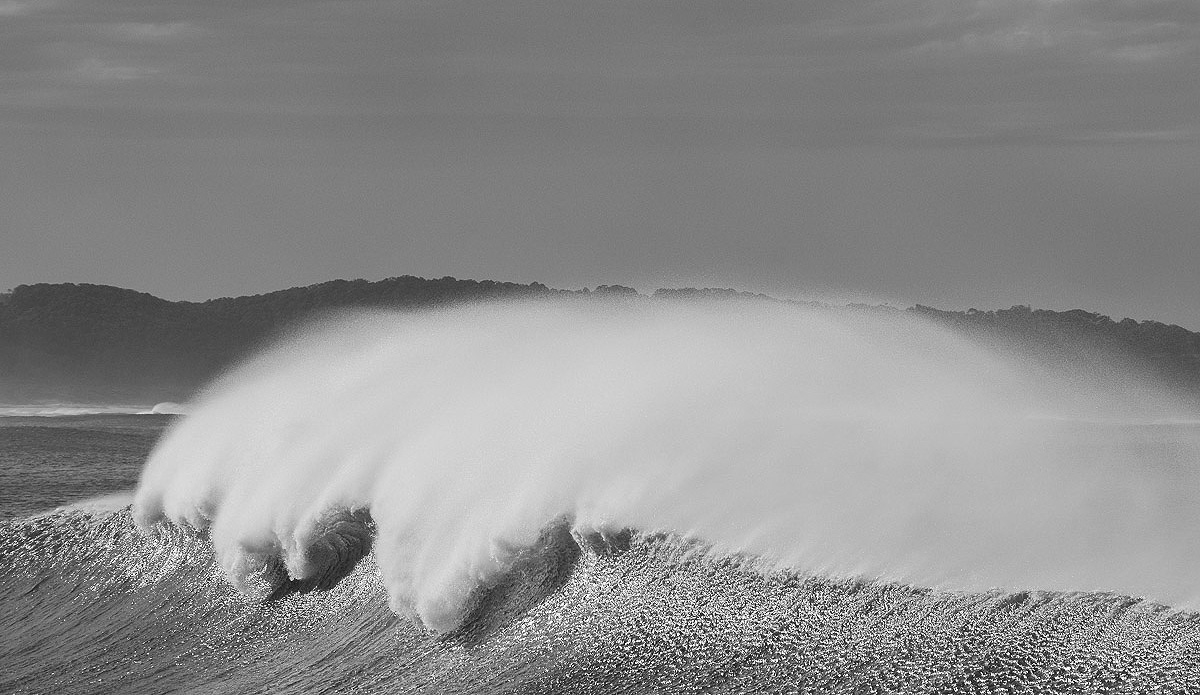 p-inertia-seasoul-37