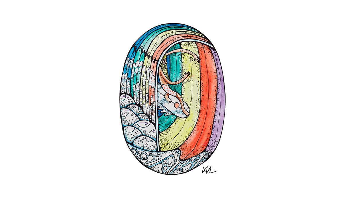 rainbowtube