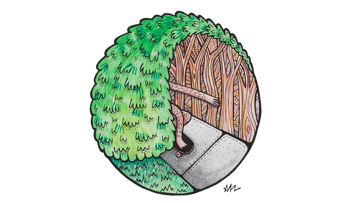 treebarrell