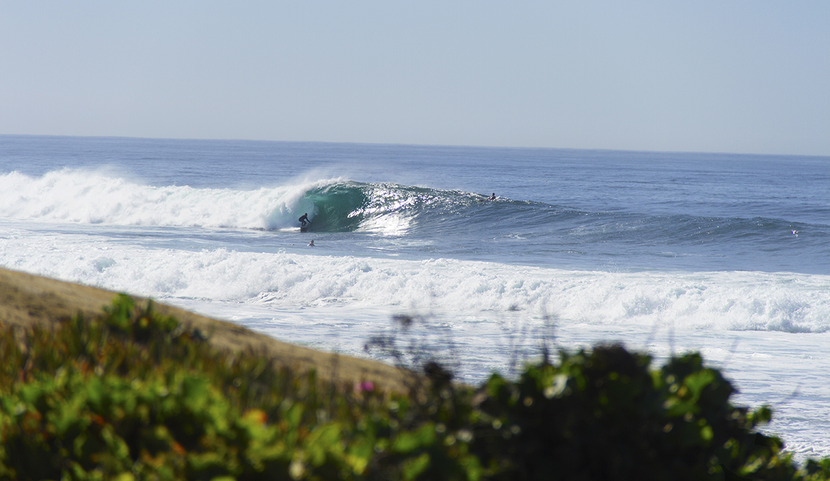 unknownlajollahenderson2