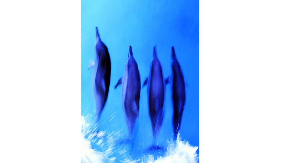 shelli-bankier-c-bluesphere-22