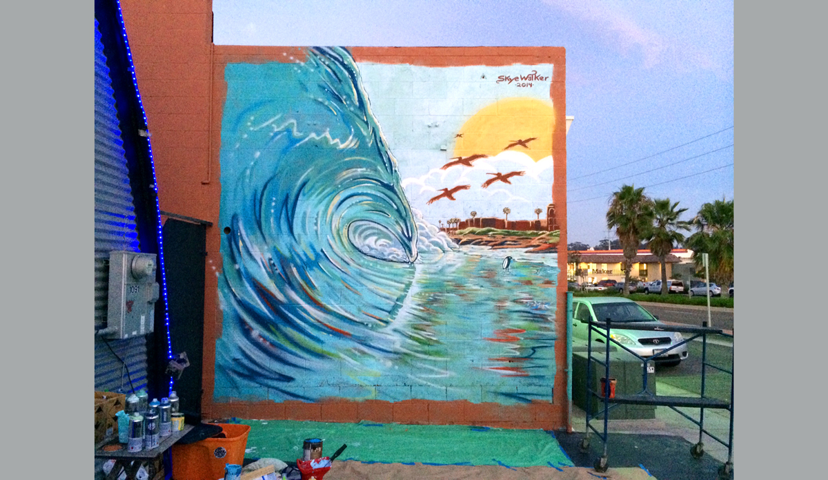 birds-surf-shed