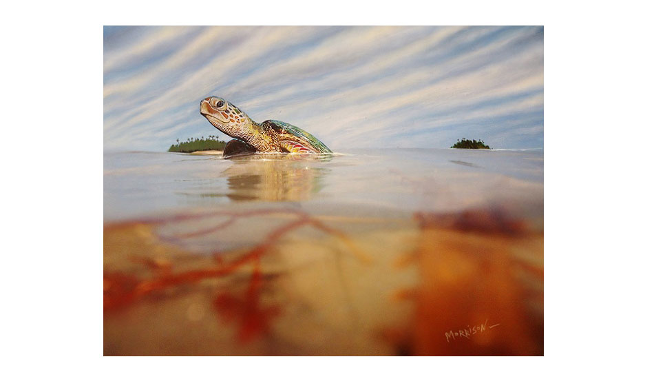 TurtleIsland