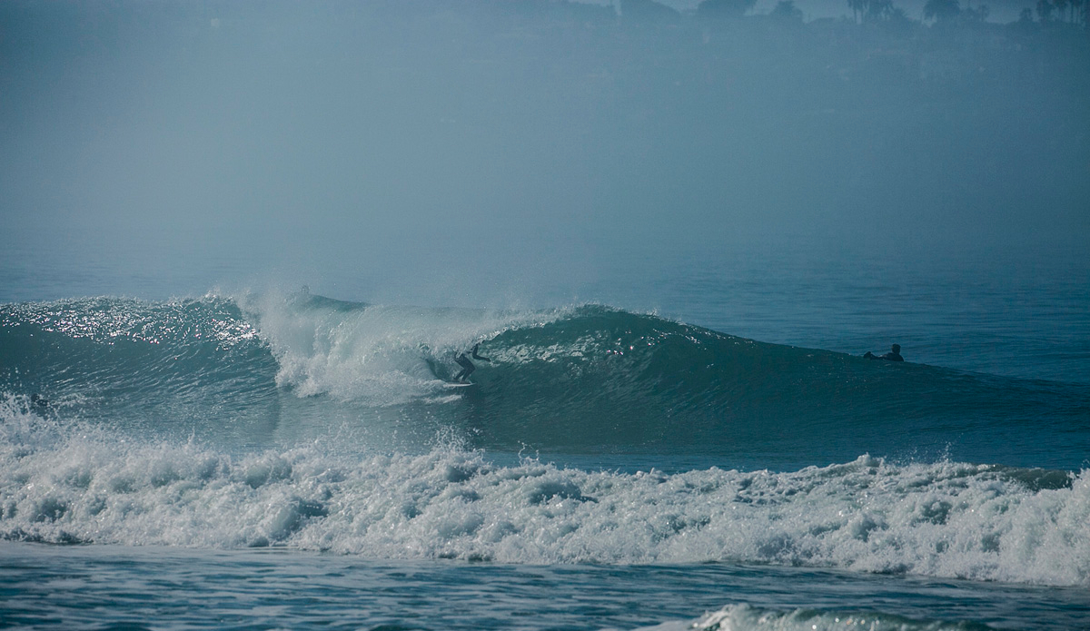 3z1a6575
