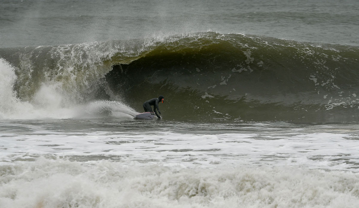 torchia_inertia_rob_kelly_4201