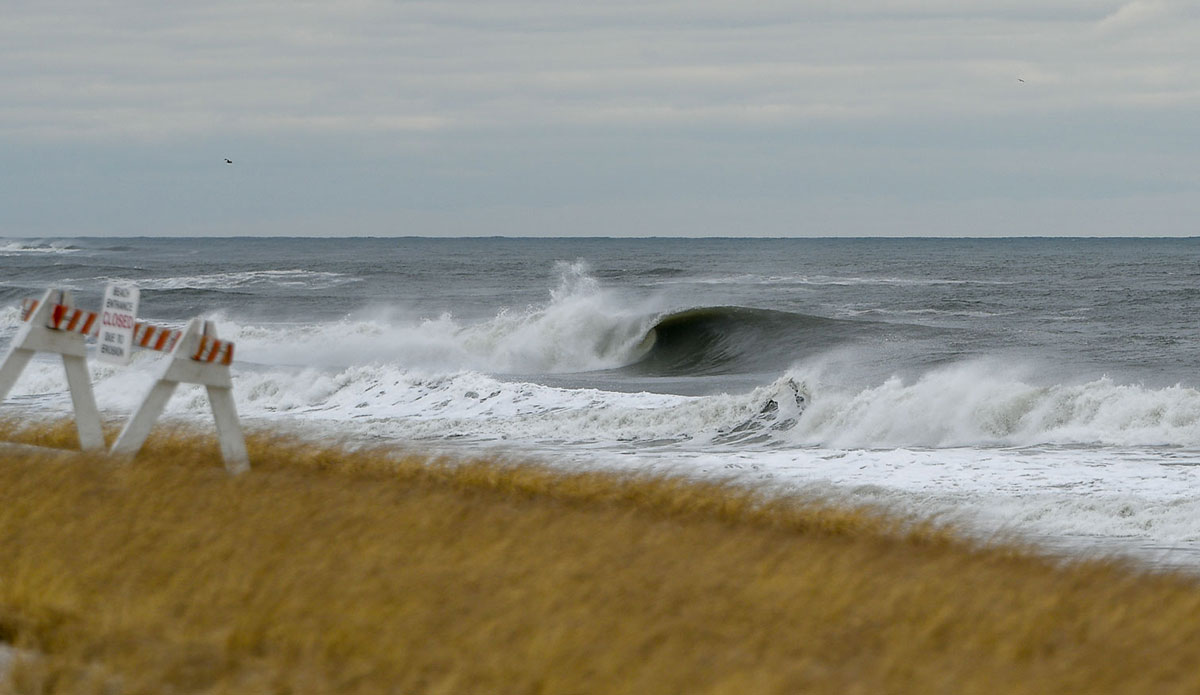 torchia_inertia_wsr_4384