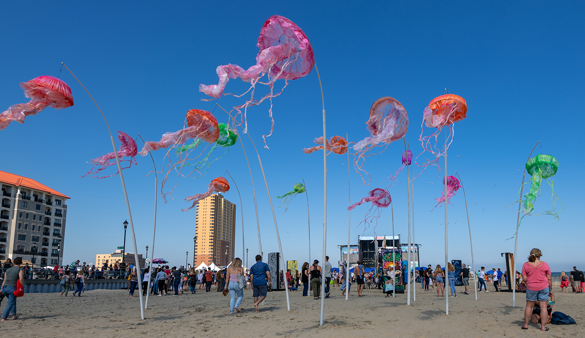 tim_torchia_shn_beach-5913