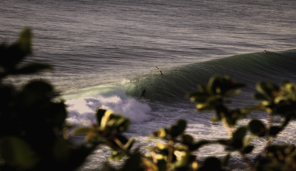 Uluwatu bush copy