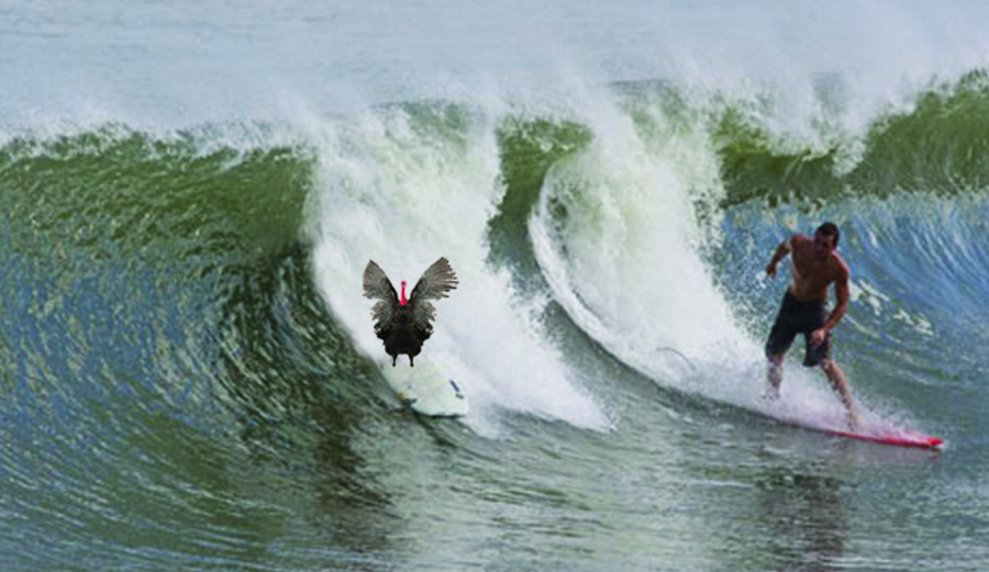 turkey-burn4
