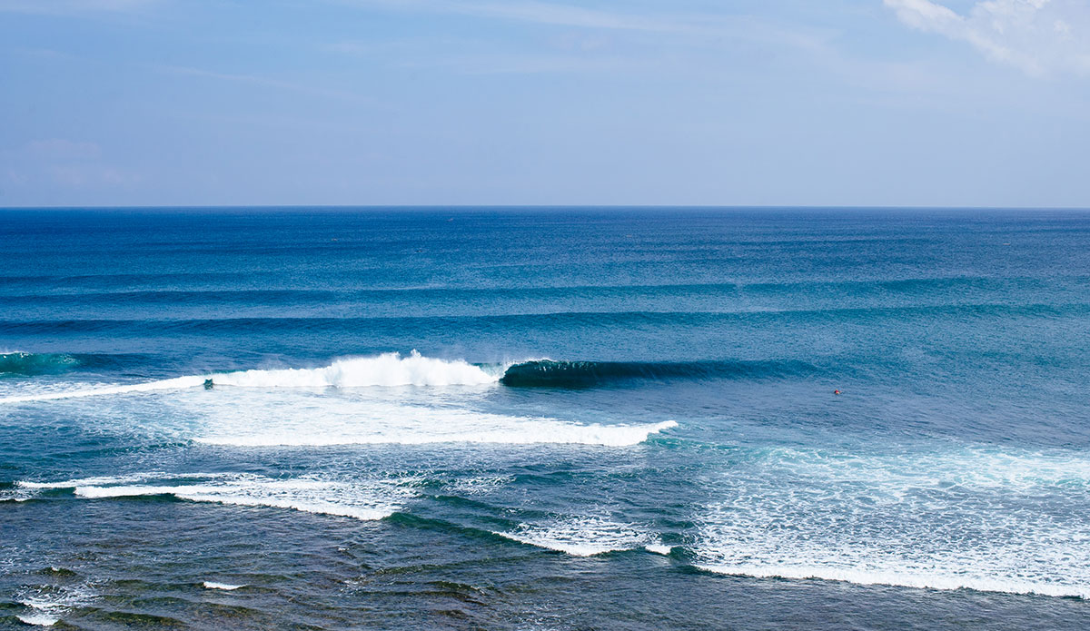 Lineup