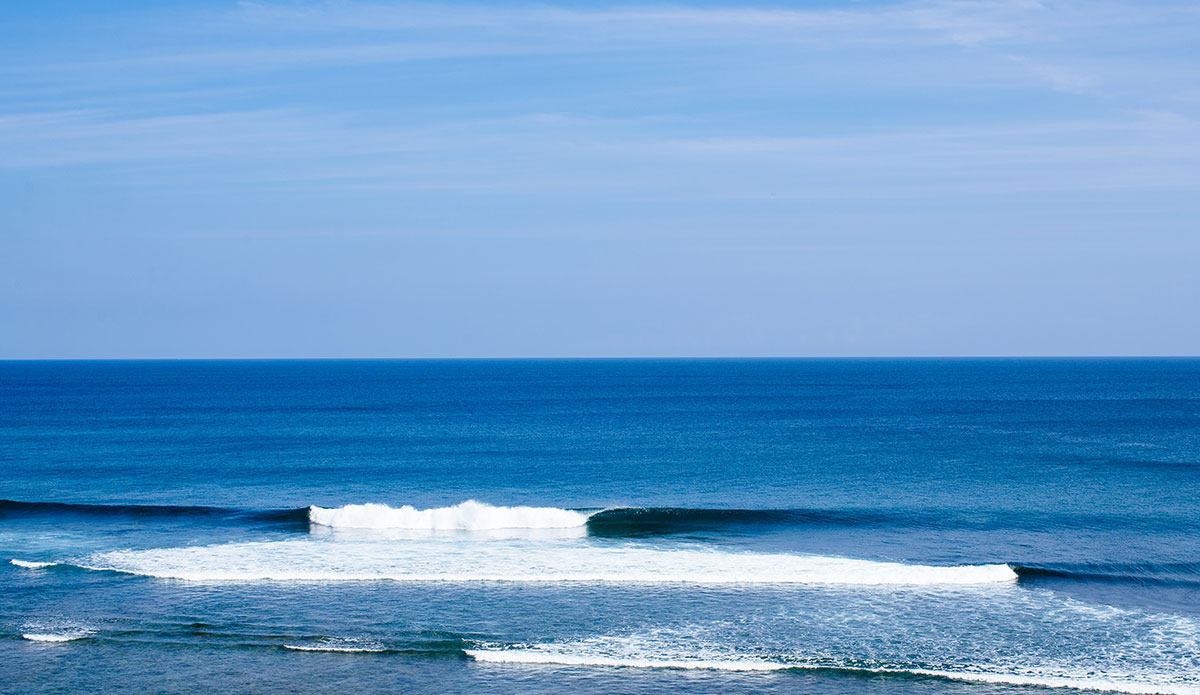 Lineup