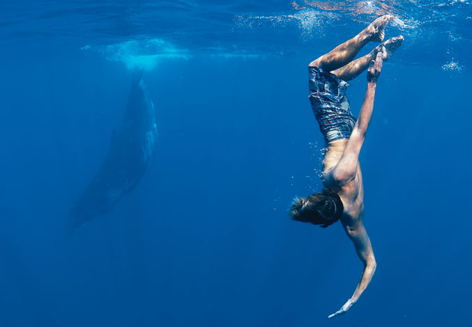 Surfers For Cetaceans ambassador Dave Rastovich gets up close and personal with a dying breed.