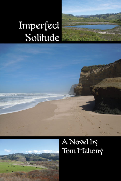 Imperfect Solitude by Tom Mahony