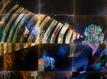Cosmic Detail Christine Nguyen Artist C-Print