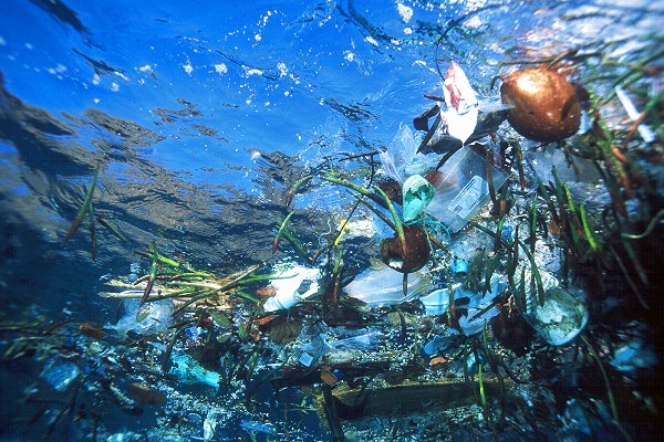 Ocean Pollution Trash