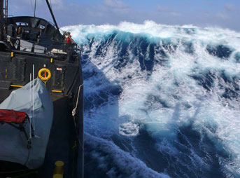 Japanese Whaling Zero Compromise Surfers For Cetaceans