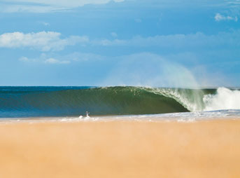 Empty Perfect Wave Photo Bryce Johnson